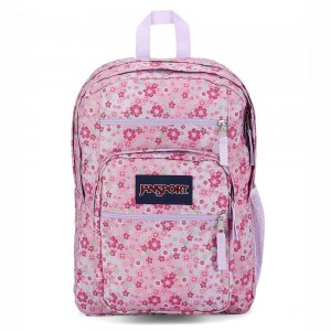 Mochila Para Portátil JanSport BIG STUDENT Mochilas Rosas | ECXBR52005