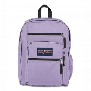 Mochila Para Portátil JanSport BIG STUDENT Mochilas Moradas | ECIIZ97046