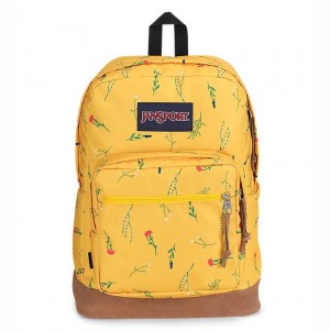 Mochila Para Portátil JanSport Right Pack Mochilas Amarillo | DECKV76674