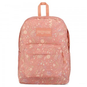 Mochila Para Portátil JanSport SuperBreak® Plus Mochilas Rosas | ECJZR66998