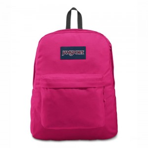 Mochila Para Portátil JanSport SuperBreak® Plus Mochilas Moradas | ECCIF59515