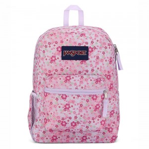 Mochilas escolares JanSport CROSS TOWN Mochilas Rosas | QECWA55780