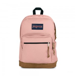 Mochilas escolares JanSport Right Pack Mochilas Rosas | LECSX39055