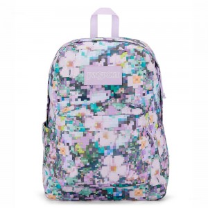 Mochilas escolares JanSport SuperBreak® Plus Mochilas Moradas | QECWA71959