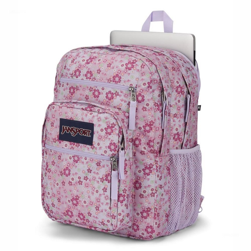 Mochila Para Portátil JanSport BIG STUDENT Mochilas Rosas | ECXBR52005