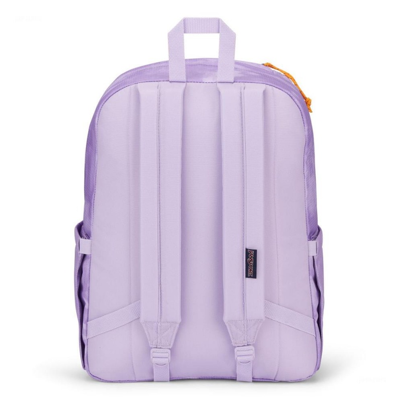 Mochila Para Portátil JanSport Double Break Mochilas Moradas | AECDF79126