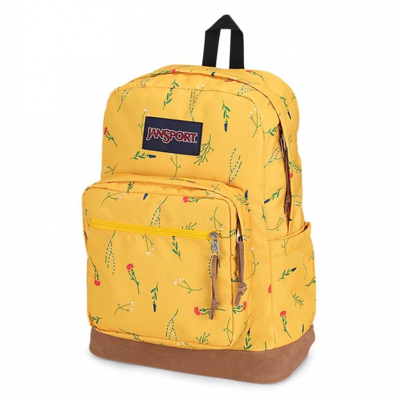 Mochila Para Portátil JanSport Right Pack Mochilas Amarillo | DECKV76674