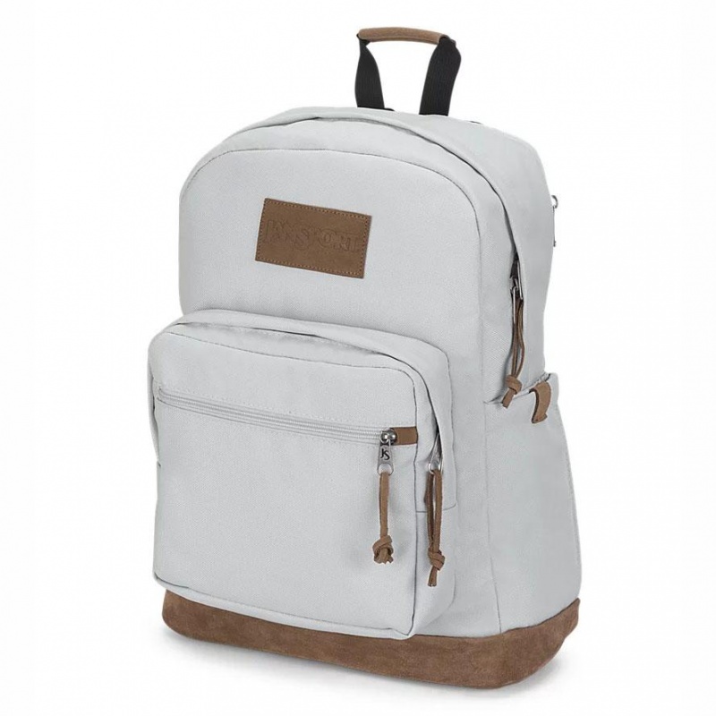 Mochila Para Portátil JanSport Right Pack Premium Mochilas Gris | QECWA68080