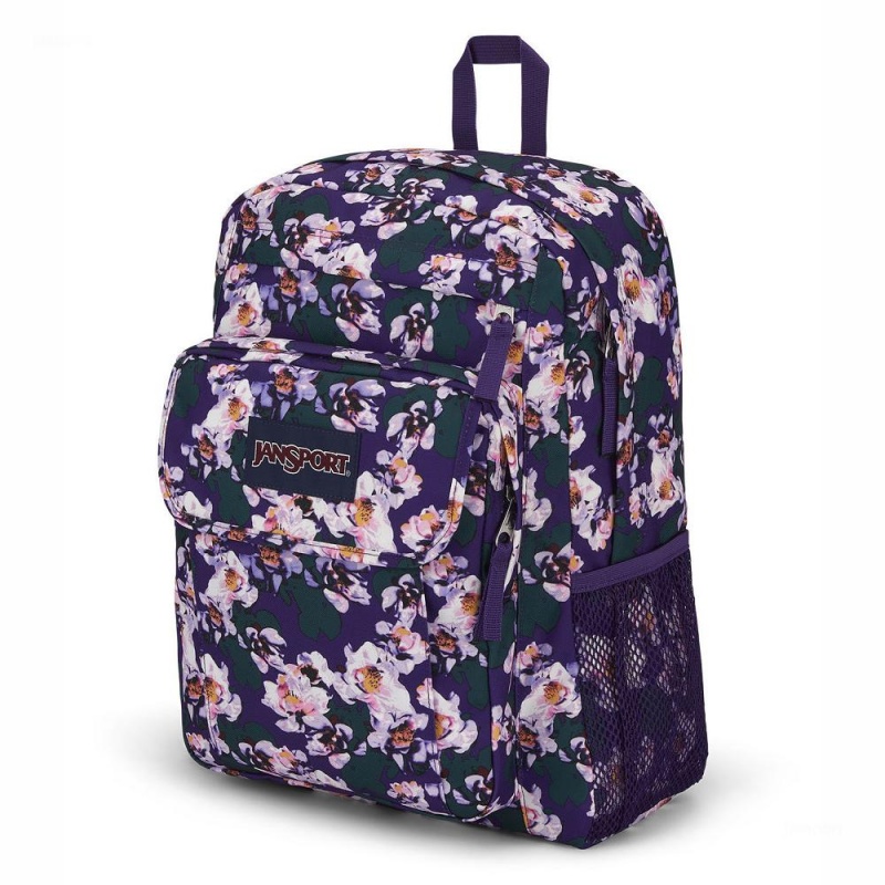 Mochila Para Portátil JanSport UNION PACK Mochilas Moradas | FECUI56172