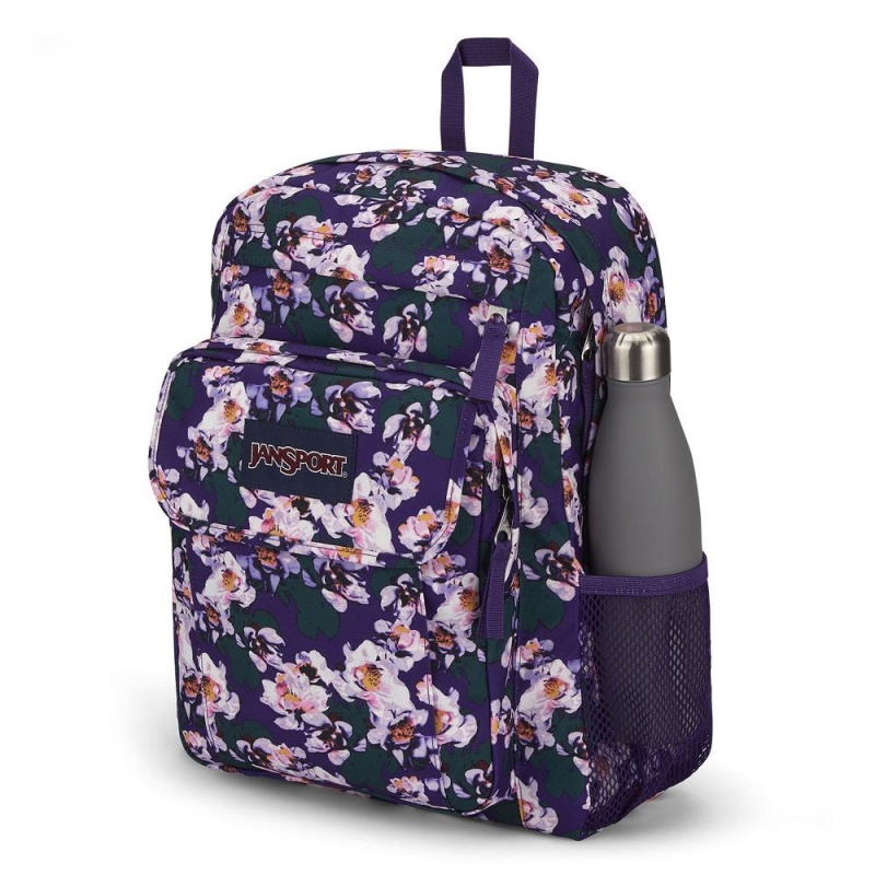 Mochila Para Portátil JanSport UNION PACK Mochilas Moradas | FECUI56172