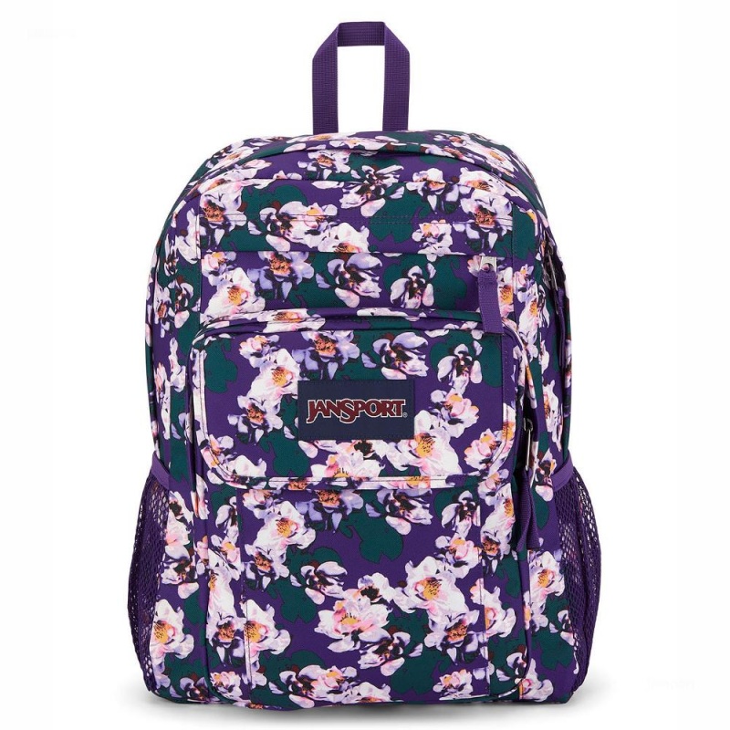 Mochila Para Portátil JanSport UNION PACK Mochilas Moradas | FECUI56172