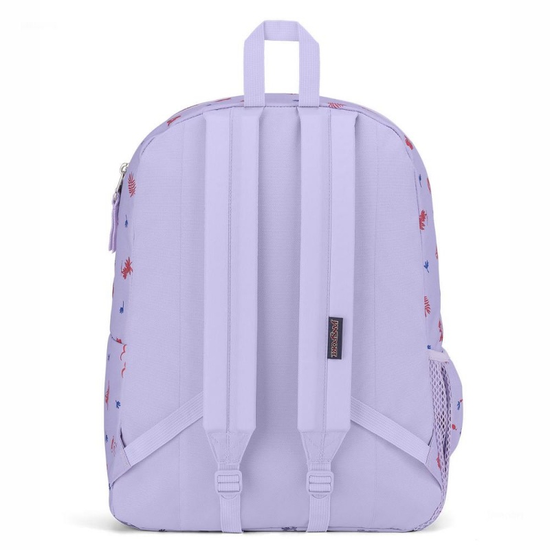 Mochilas escolares JanSport CROSS TOWN Mochilas Moradas Claro | FECHY91031