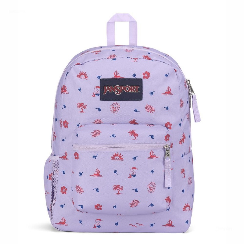 Mochilas escolares JanSport CROSS TOWN Mochilas Moradas Claro | FECHY91031