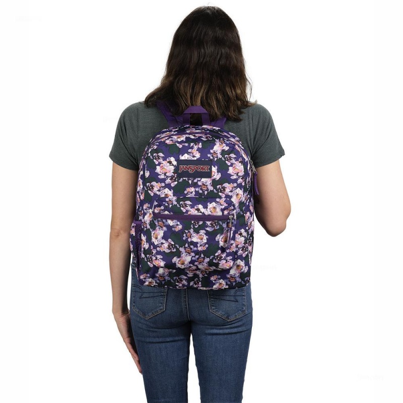 Mochilas escolares JanSport CROSS TOWN Mochilas Moradas | DECKV28125