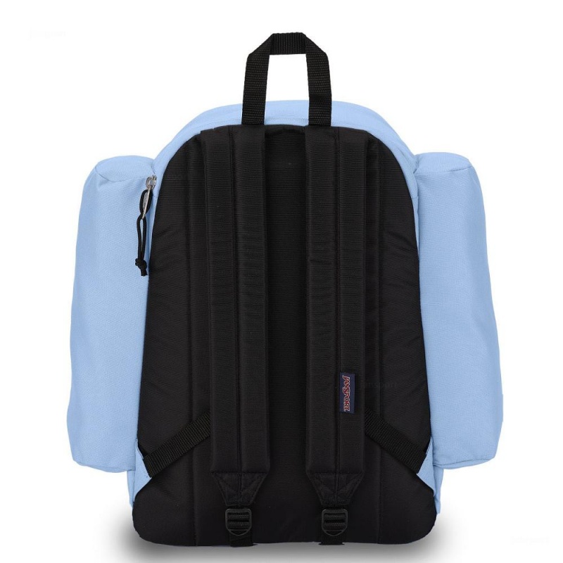 Mochilas escolares JanSport Field Pack Mochilas Azules | UECTG16513