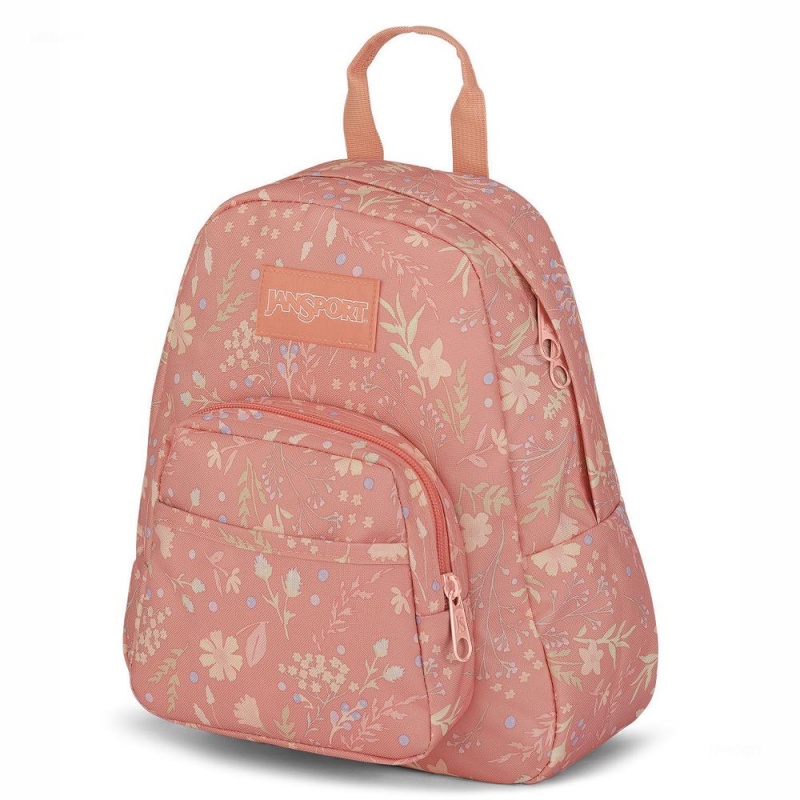 Mochilas escolares JanSport HALF PINT MINI Mochilas Rosas | ECXBR25958