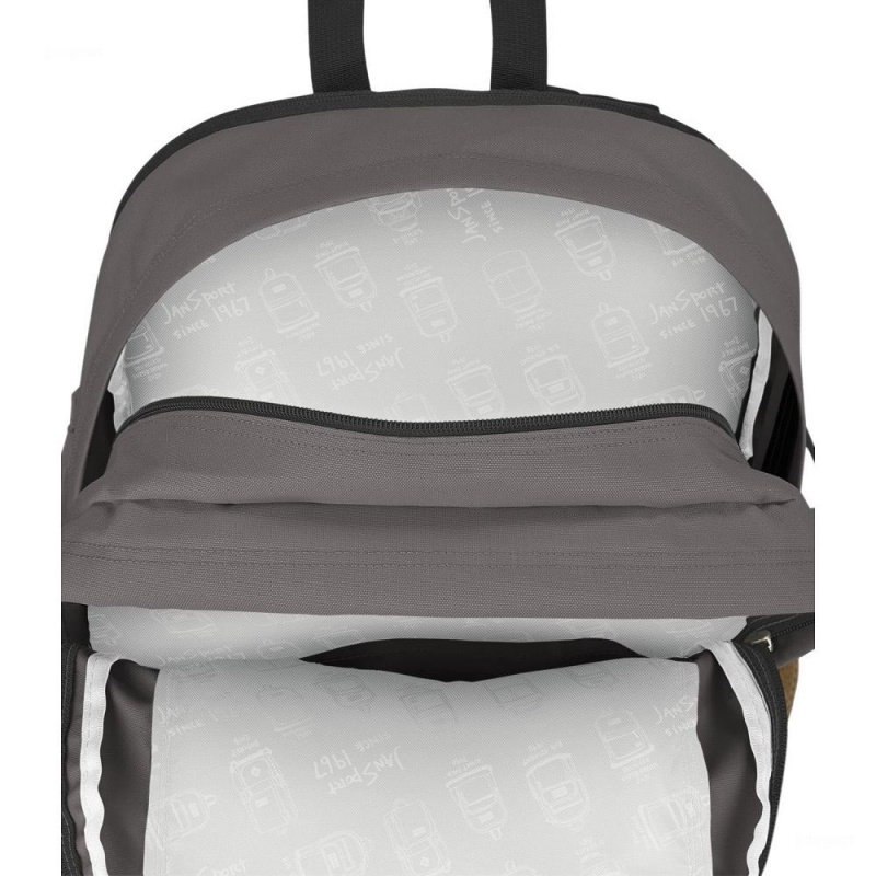 Mochilas escolares JanSport Main Campus Mochilas Gris | YECVQ39345