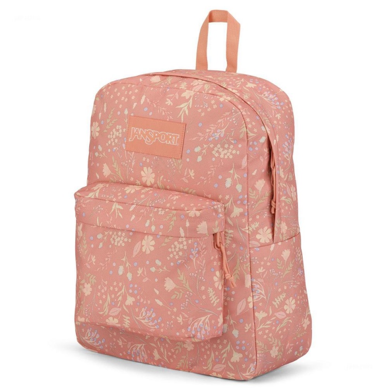 Mochilas escolares JanSport SuperBreak® Plus Mochilas Rosas | QECWA10315